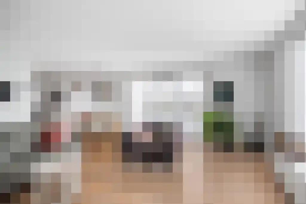 Broerstrjitte 45 Oppenhuizen thumbnail 6