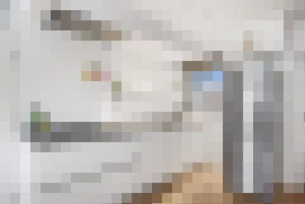 Broerstrjitte 45 Oppenhuizen thumbnail 9