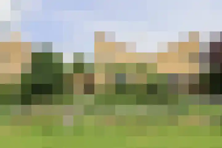 Broerstrjitte 47 Oppenhuizen