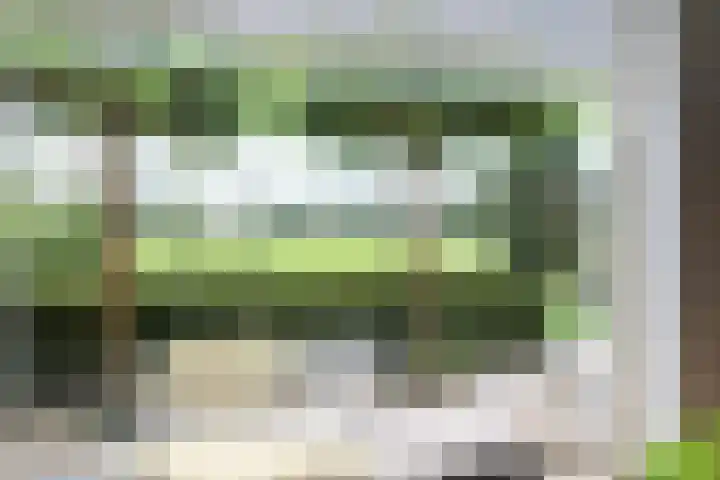 Broerstrjitte 47 Oppenhuizen thumbnail 10