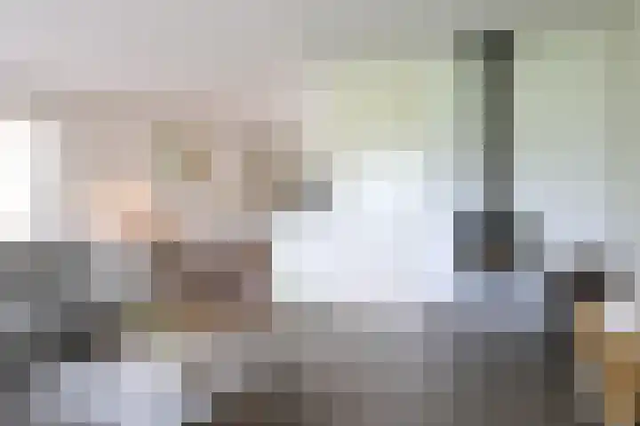 Broerstrjitte 47 Oppenhuizen thumbnail 12