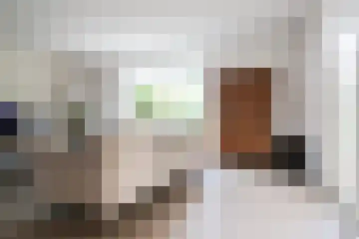 Broerstrjitte 47 Oppenhuizen thumbnail 17
