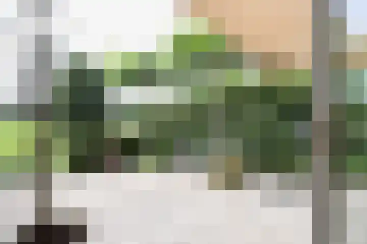 Broerstrjitte 47 Oppenhuizen thumbnail 18