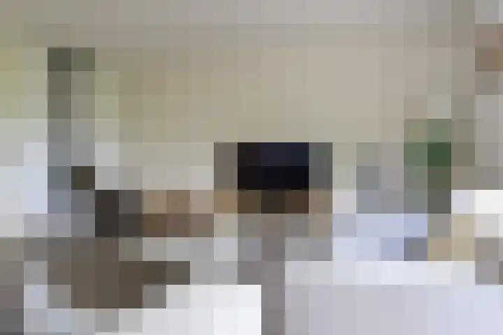 Broerstrjitte 47 Oppenhuizen thumbnail 20