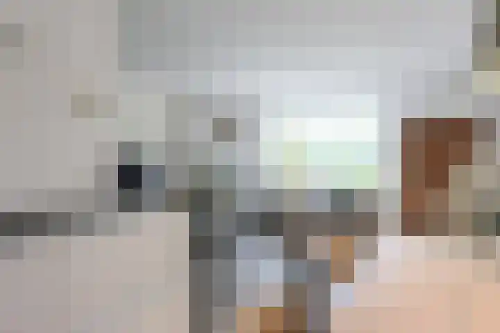Broerstrjitte 47 Oppenhuizen thumbnail 27