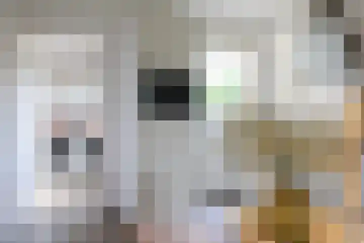 Broerstrjitte 47 Oppenhuizen thumbnail 28