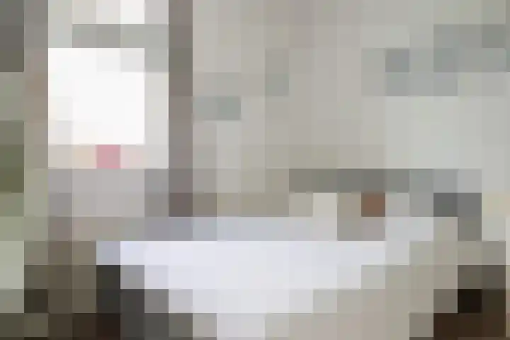 Broerstrjitte 47 Oppenhuizen thumbnail 42