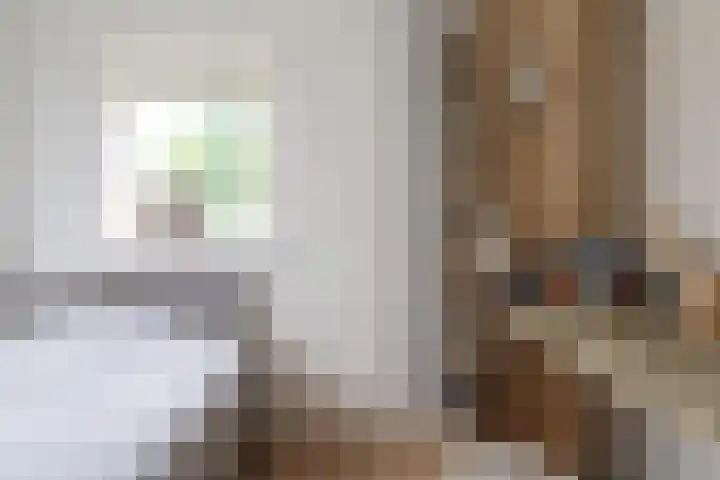 Broerstrjitte 47 Oppenhuizen thumbnail 45