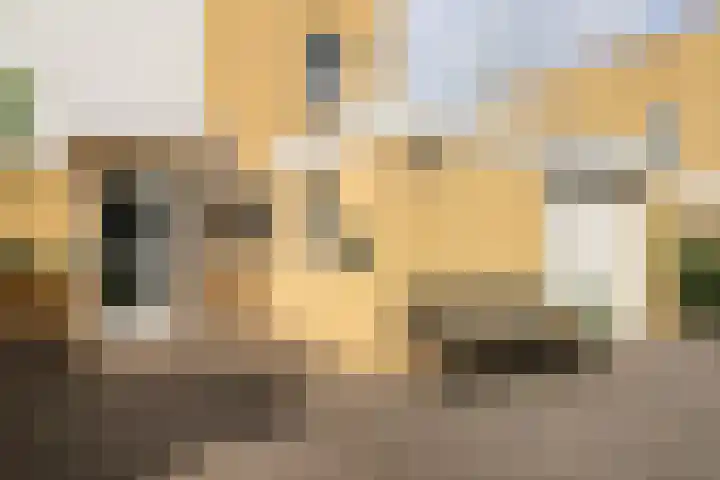Broerstrjitte 47 Oppenhuizen thumbnail 5