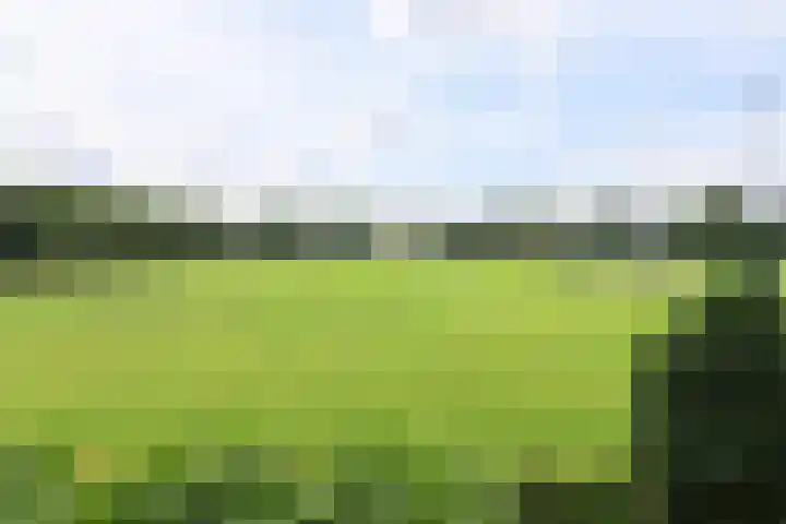 Broerstrjitte 47 Oppenhuizen thumbnail 50