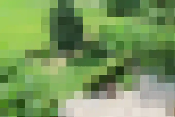 Broerstrjitte 47 Oppenhuizen thumbnail 51