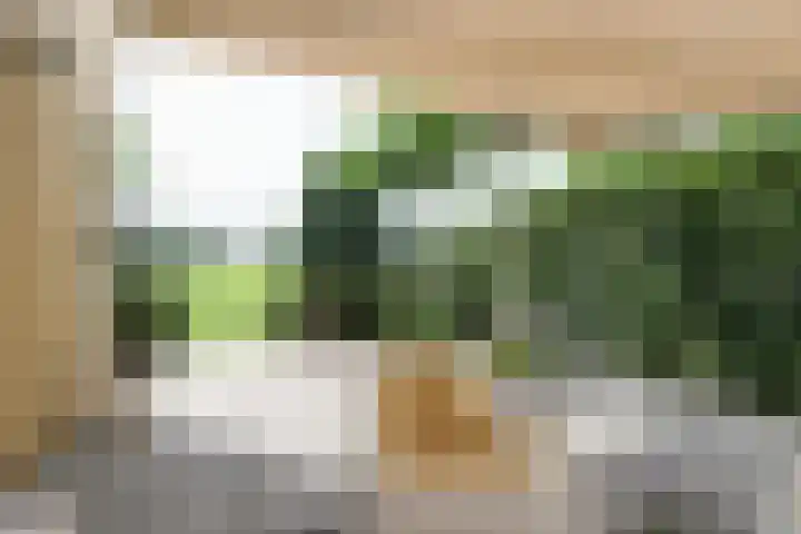 Broerstrjitte 47 Oppenhuizen thumbnail 52