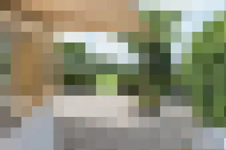Broerstrjitte 47 Oppenhuizen thumbnail 53