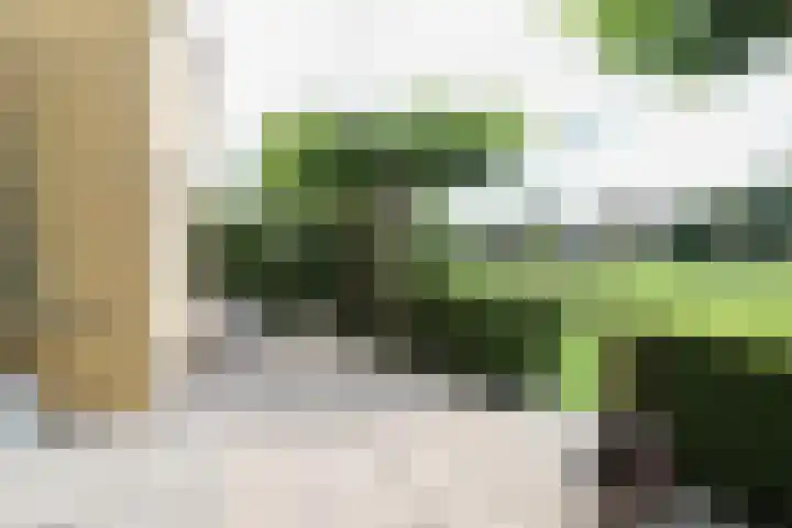 Broerstrjitte 47 Oppenhuizen thumbnail 55