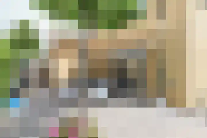 Broerstrjitte 47 Oppenhuizen thumbnail 56