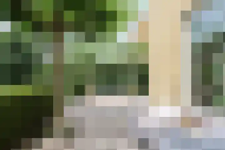 Broerstrjitte 47 Oppenhuizen thumbnail 57