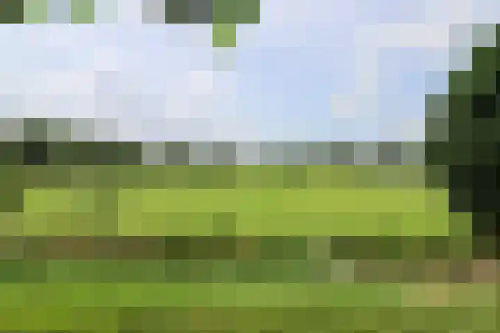 Broerstrjitte 47 Oppenhuizen thumbnail 58