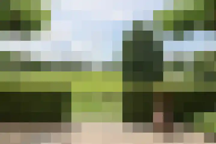 Broerstrjitte 47 Oppenhuizen thumbnail 59