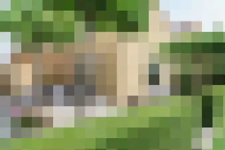 Broerstrjitte 47 Oppenhuizen thumbnail 60