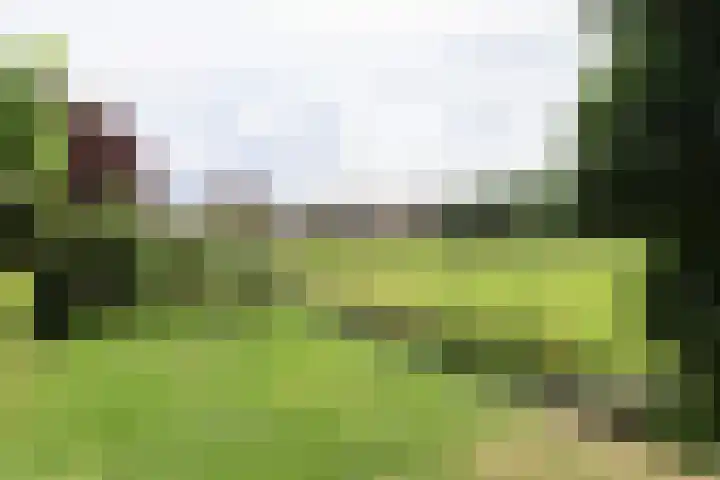 Broerstrjitte 47 Oppenhuizen thumbnail 62
