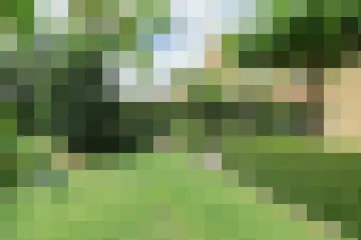 Broerstrjitte 47 Oppenhuizen thumbnail 63