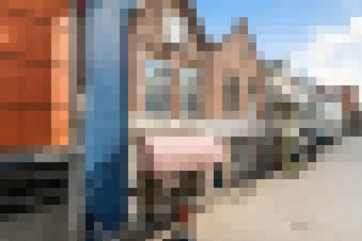 Broersveld 10 Schiedam thumbnail 4