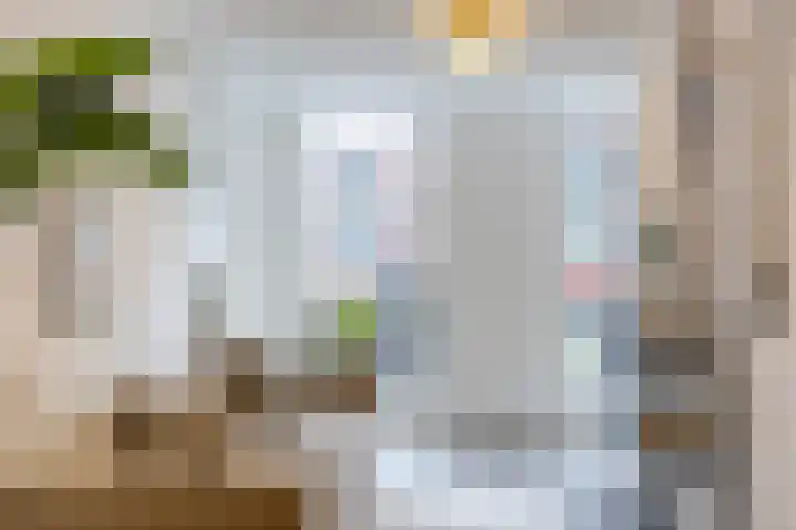 Broersveld 104 A Schiedam thumbnail 9
