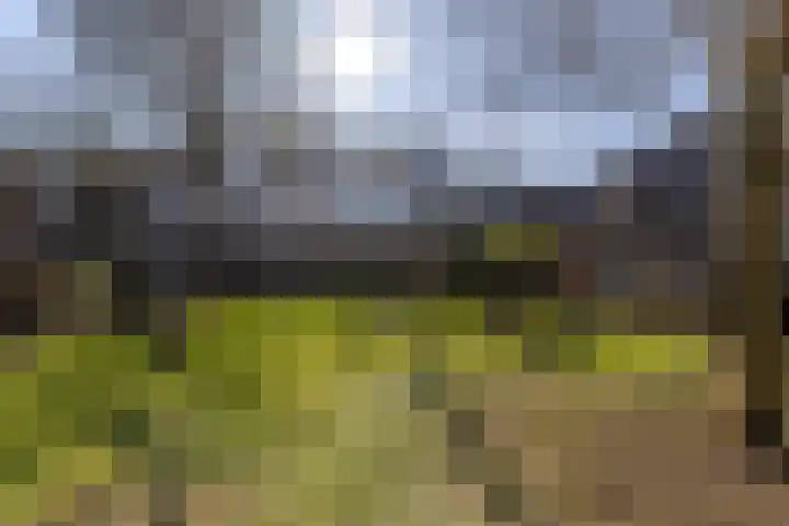 Broersveld 123 A Schiedam thumbnail 46