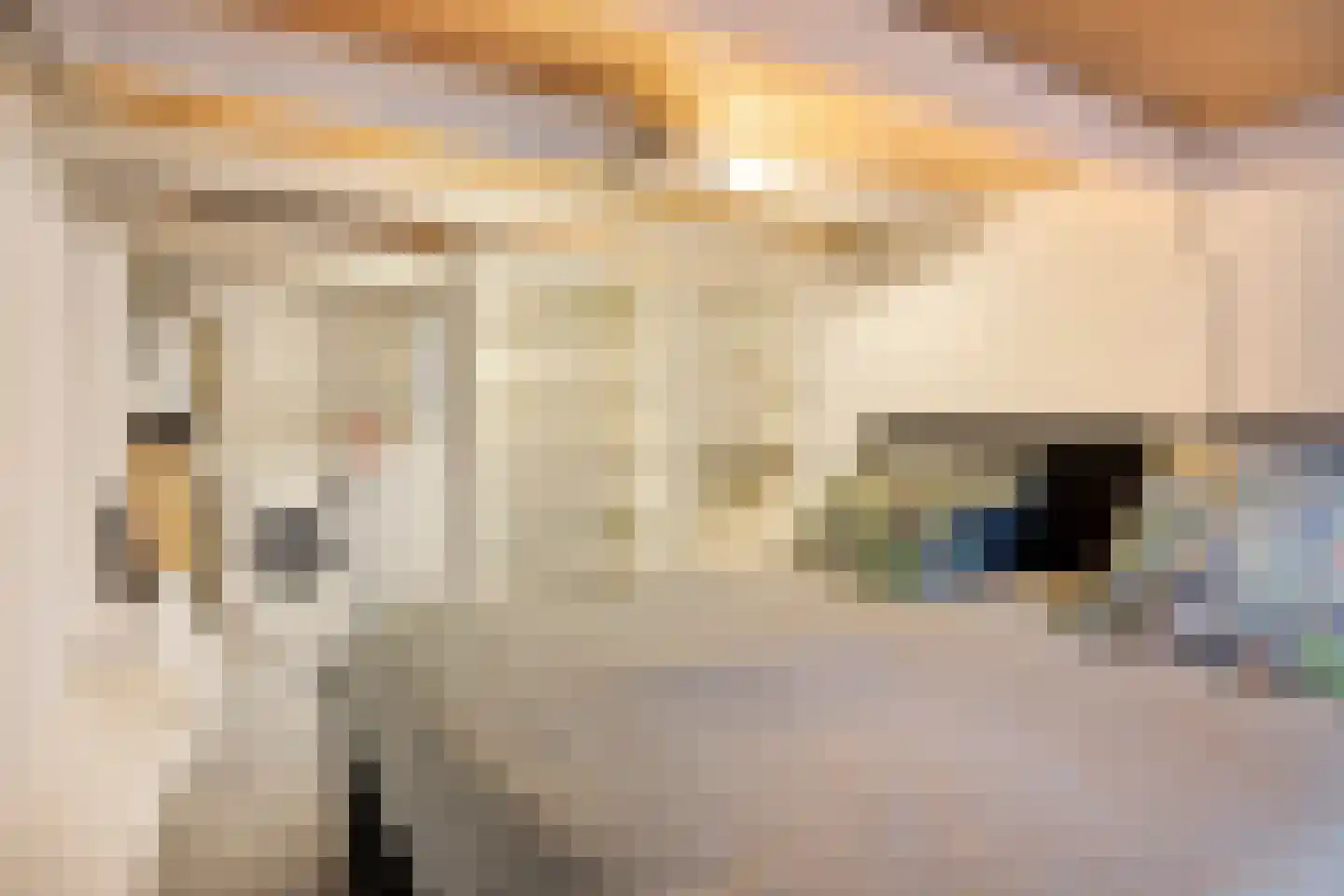 Broersveld 140 B Schiedam thumbnail 19