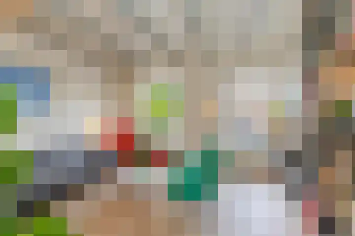 Broersveld 142 Schiedam thumbnail 34