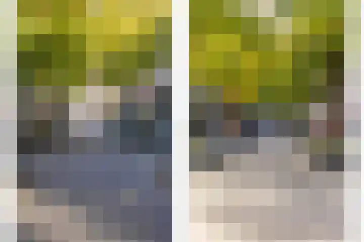 Broersveld 142 Schiedam thumbnail 46