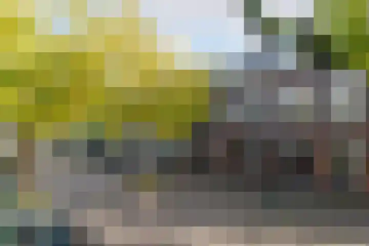 Broersveld 142 Schiedam thumbnail 47