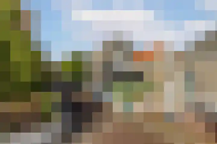 Broersveld 142 Schiedam thumbnail 48