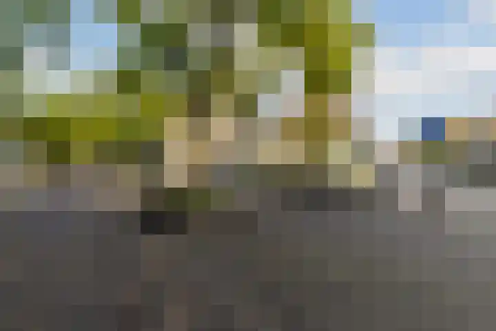 Broersveld 142 Schiedam thumbnail 49