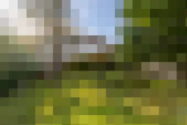 Broersveld 142 Schiedam thumbnail 50