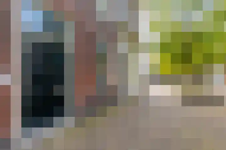 Broersveld 142 Schiedam thumbnail 8