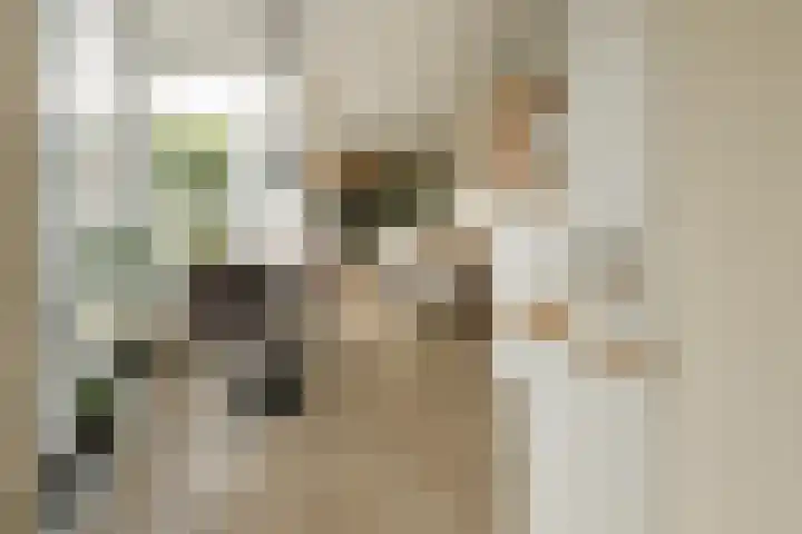 Broersven 20 Heemskerk thumbnail 25