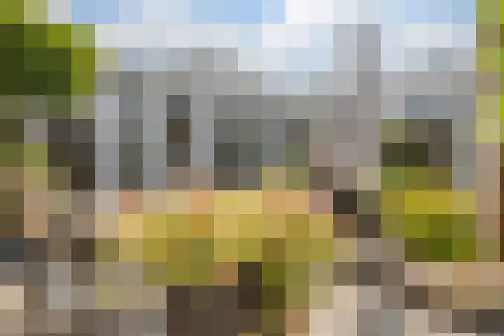 Broersven 20 Heemskerk thumbnail 28