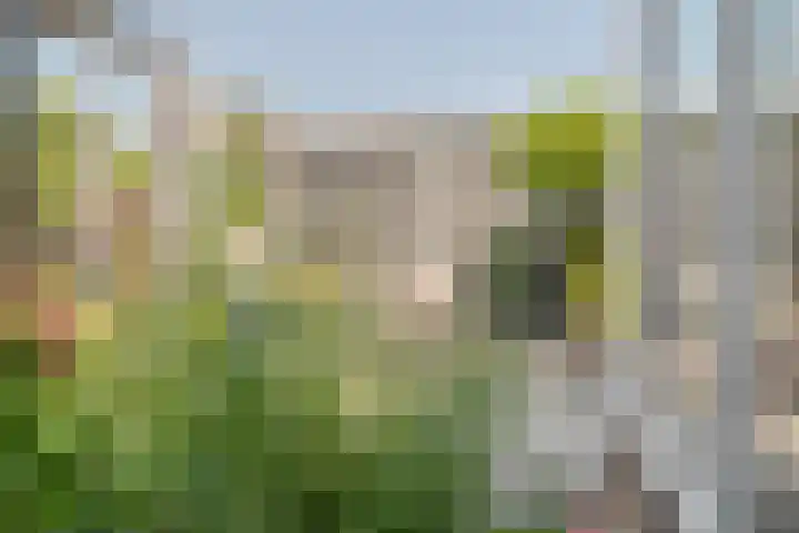 Broersven 20 Heemskerk thumbnail 30
