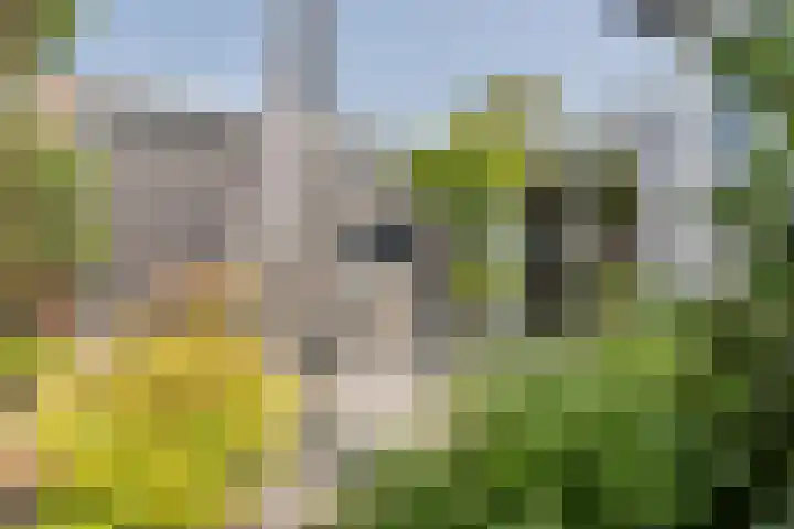 Broersven 20 Heemskerk thumbnail 31