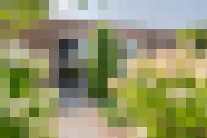 Broersven 20 Heemskerk thumbnail 4