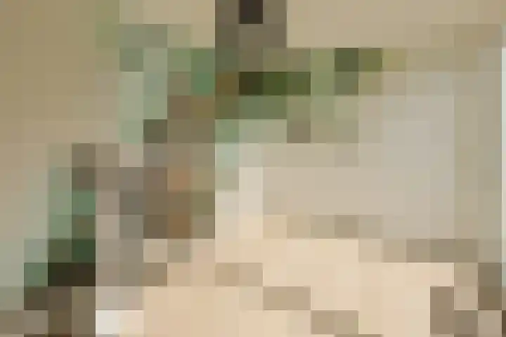 Broersven 20 Heemskerk thumbnail 47