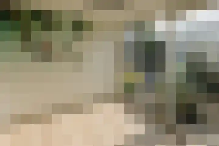 Broersven 20 Heemskerk thumbnail 49