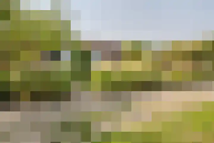 Broersven 20 Heemskerk thumbnail 55