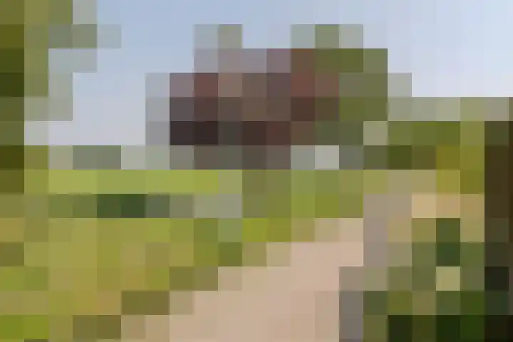 Broersven 20 Heemskerk thumbnail 56