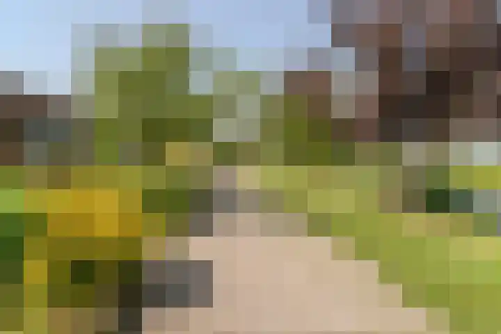 Broersven 20 Heemskerk thumbnail 57