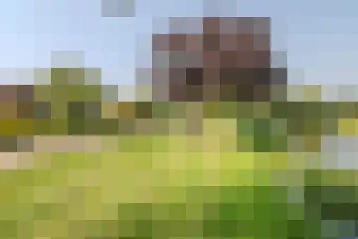 Broersven 20 Heemskerk thumbnail 58