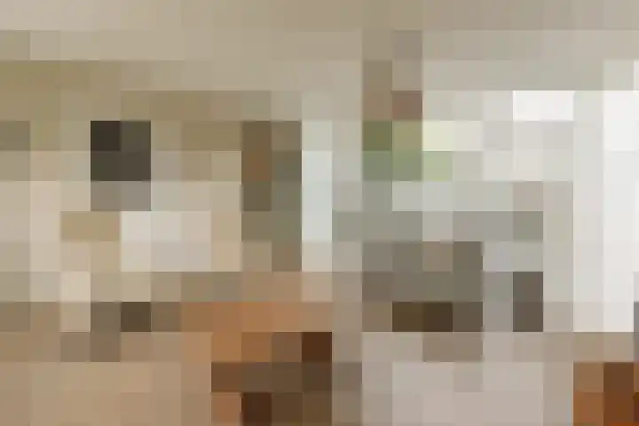 Broersven 20 Heemskerk thumbnail 6
