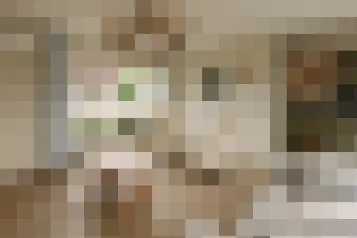 Broersven 20 Heemskerk thumbnail 7