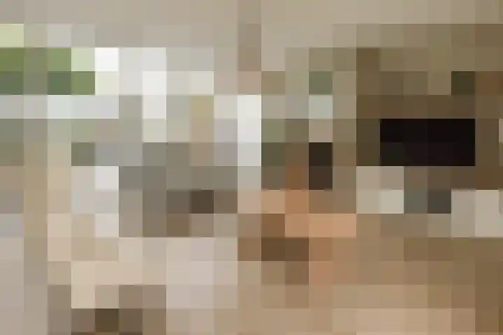 Broersven 20 Heemskerk thumbnail 9